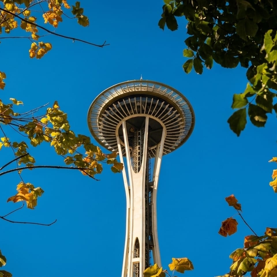 The Seattle Space Needle rises against a clear blue sky, framed by autumn leaves.