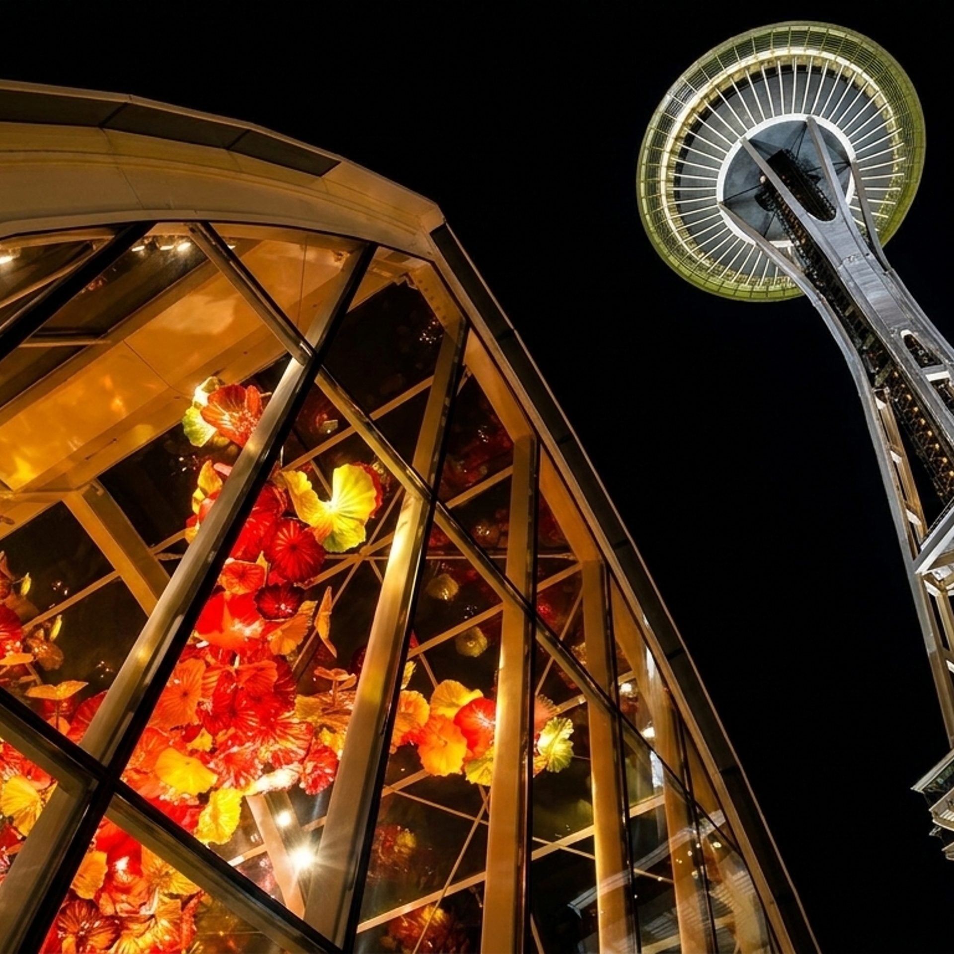 Next Door to the Space Needle